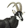 Safari Ltd Sable Antelope-SAF227829-Animal Kingdoms Toy Store