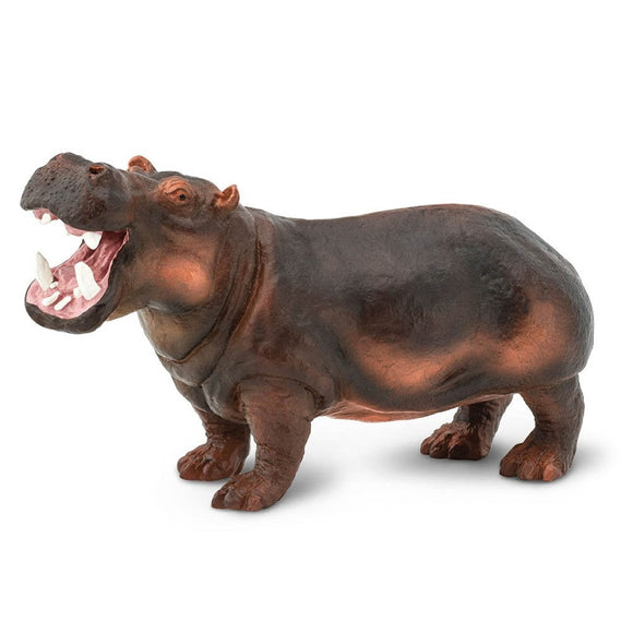 Safari Ltd Hippopotamus-SAF229029-Animal Kingdoms Toy Store