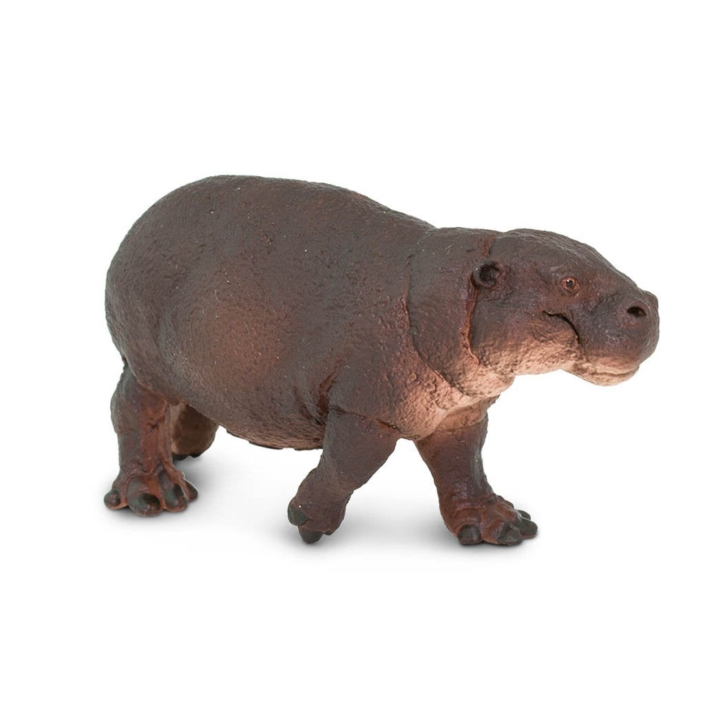 Safari Ltd Pygmy Hippo-SAF229229-Animal Kingdoms Toy Store