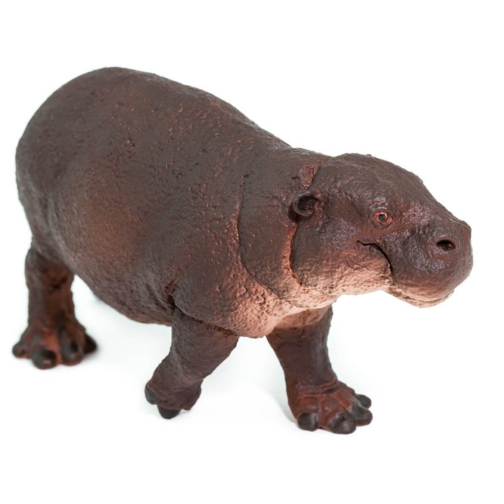 Safari Ltd Pygmy Hippo-SAF229229-Animal Kingdoms Toy Store