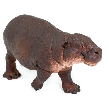 Safari Ltd Pygmy Hippo-SAF229229-Animal Kingdoms Toy Store