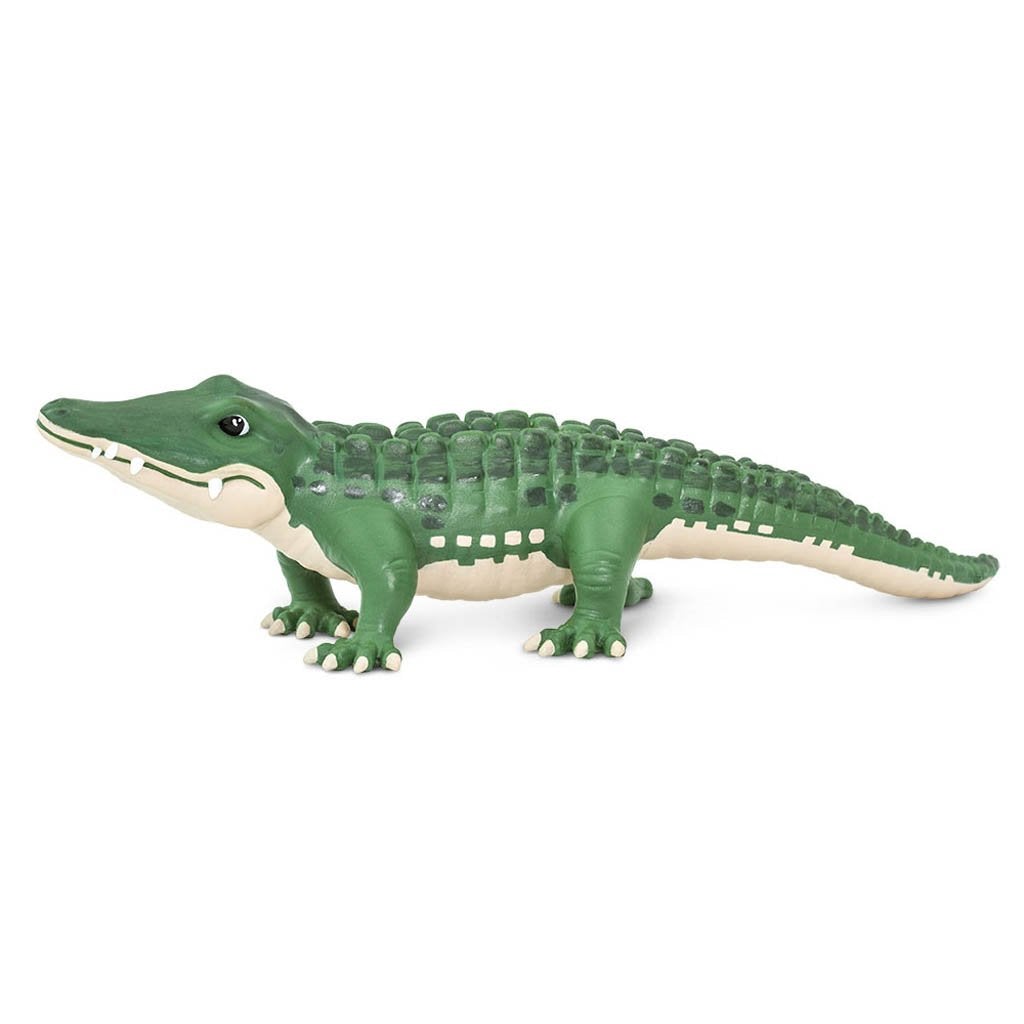 Safari Ltd Bernie-SAF229429-Animal Kingdoms Toy Store