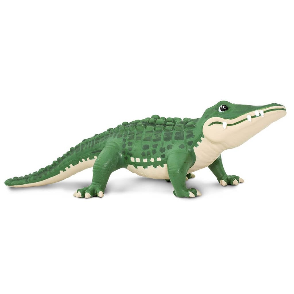 Safari Ltd Bernie-SAF229429-Animal Kingdoms Toy Store