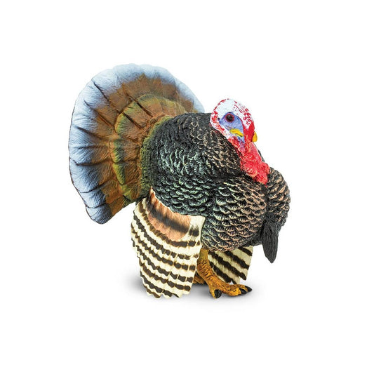 Safari Ltd Turkey-SAF242929-Animal Kingdoms Toy Store