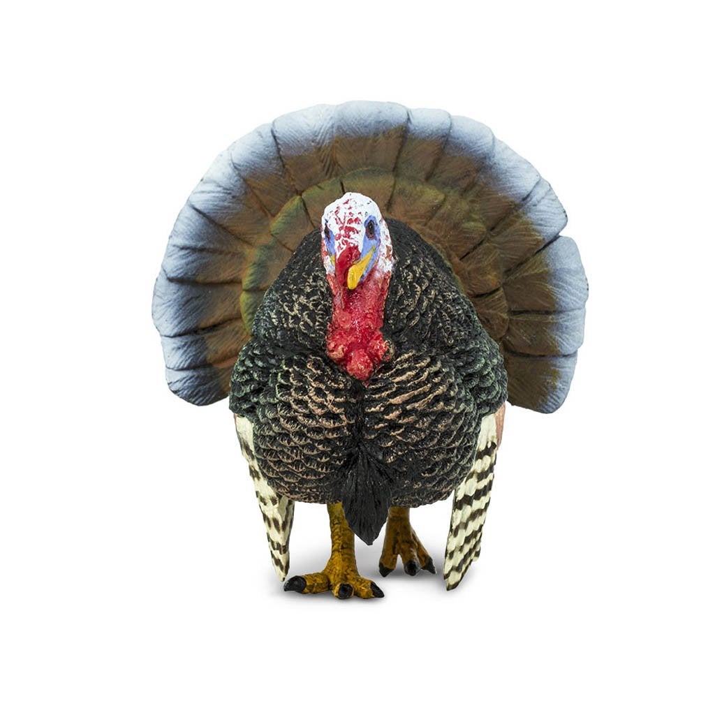 Safari Ltd Turkey-SAF242929-Animal Kingdoms Toy Store