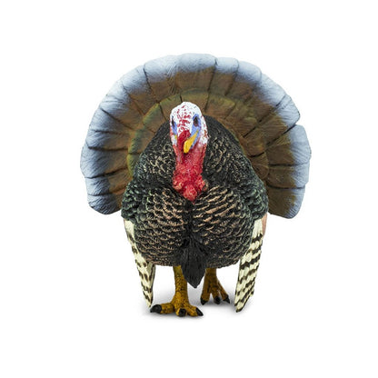 Safari Ltd Turkey-SAF242929-Animal Kingdoms Toy Store