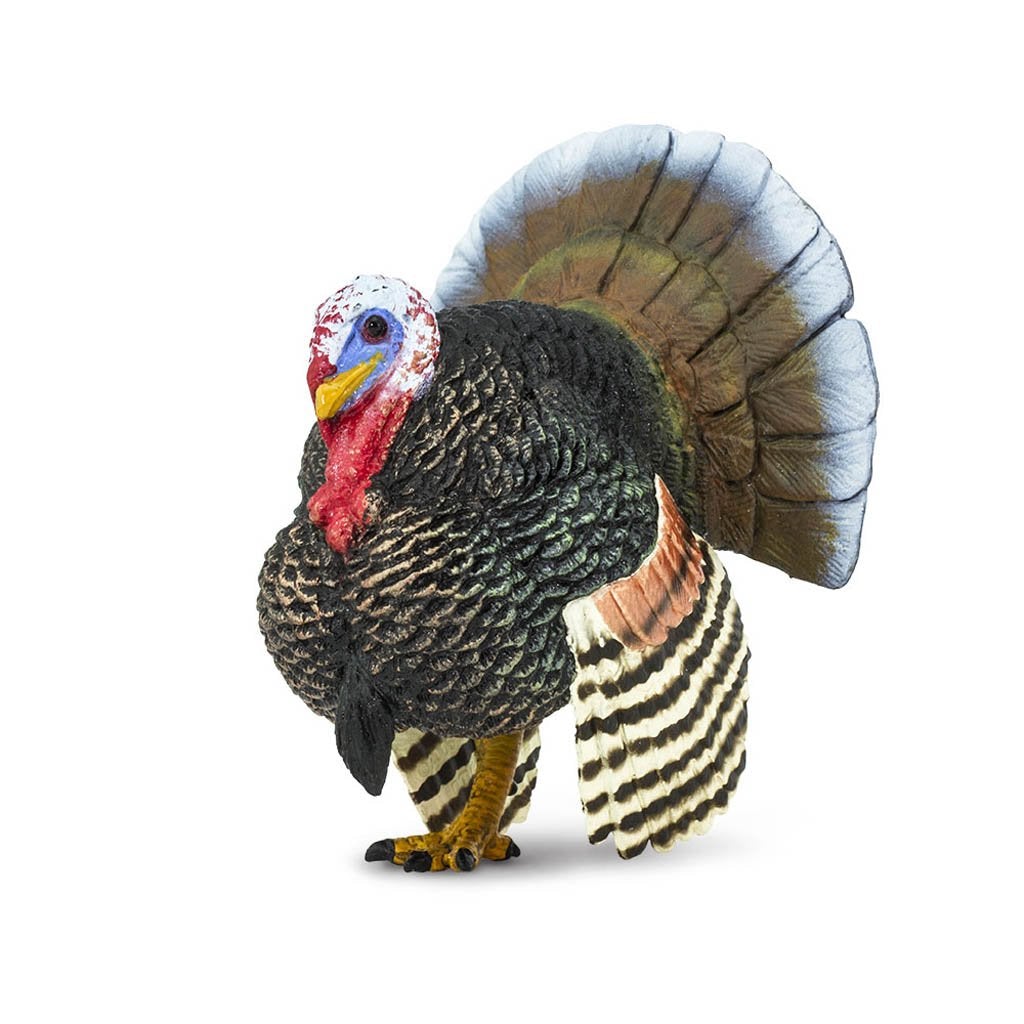 Safari Ltd Turkey-SAF242929-Animal Kingdoms Toy Store