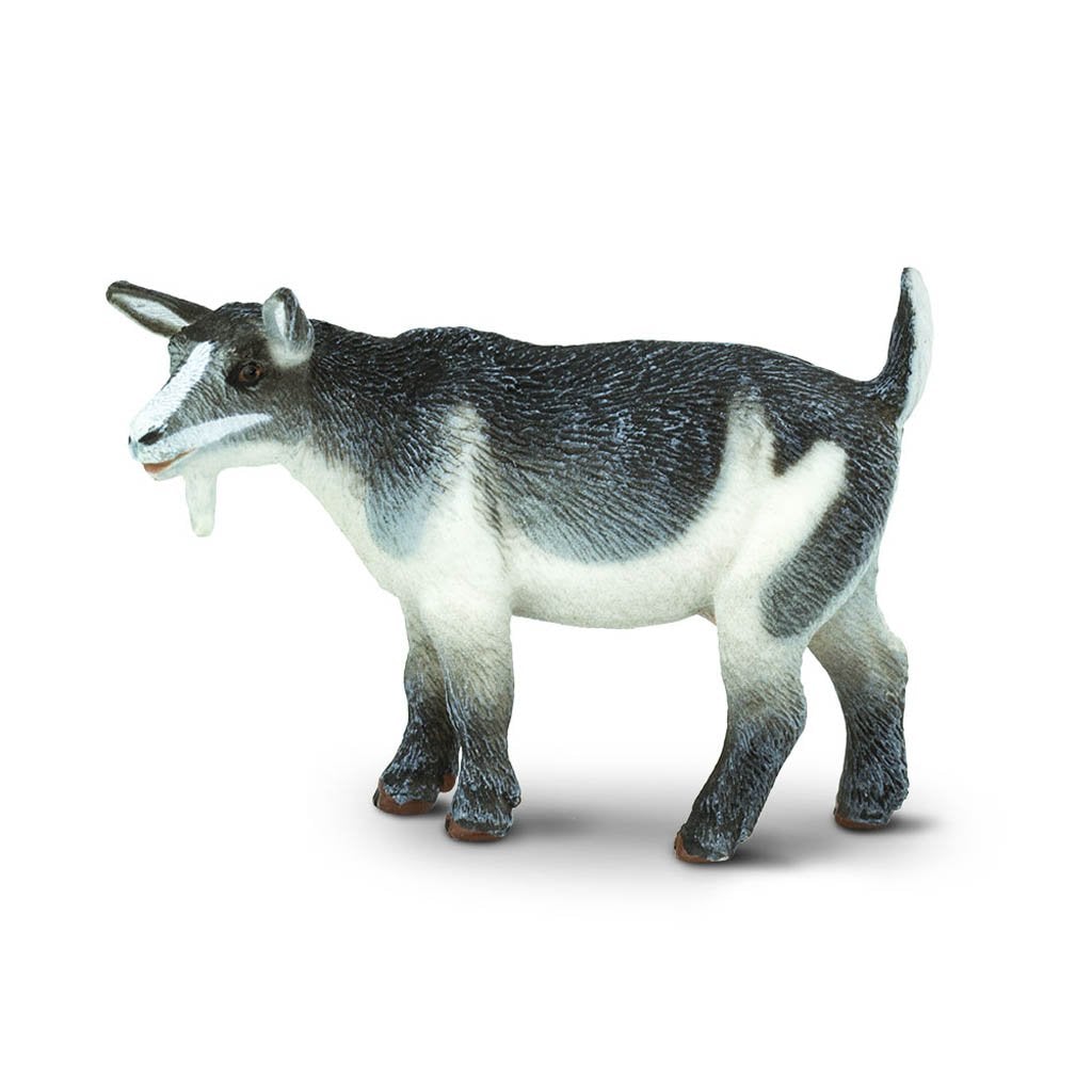 Safari Ltd Pygmy Nanny Goat-SAF245129-Animal Kingdoms Toy Store