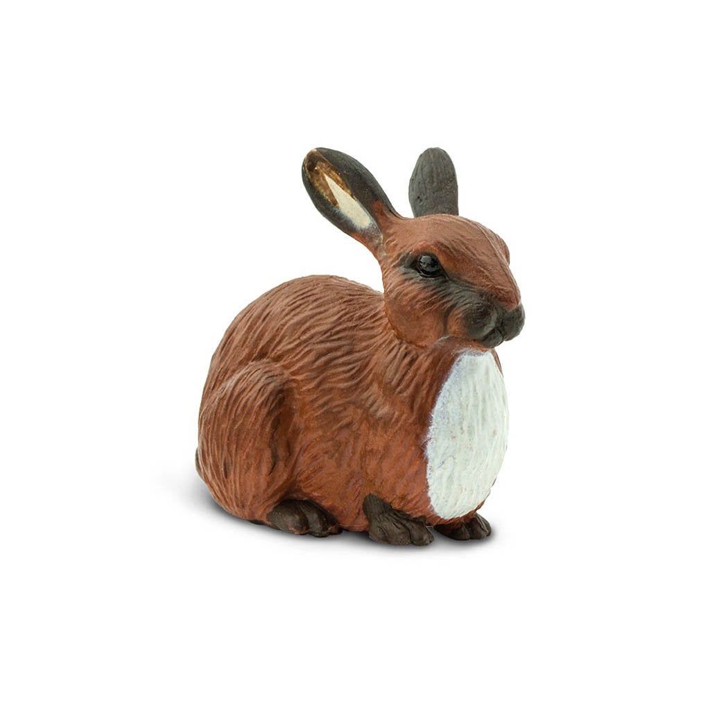 Safari Ltd Rabbit-SAF245429-Animal Kingdoms Toy Store