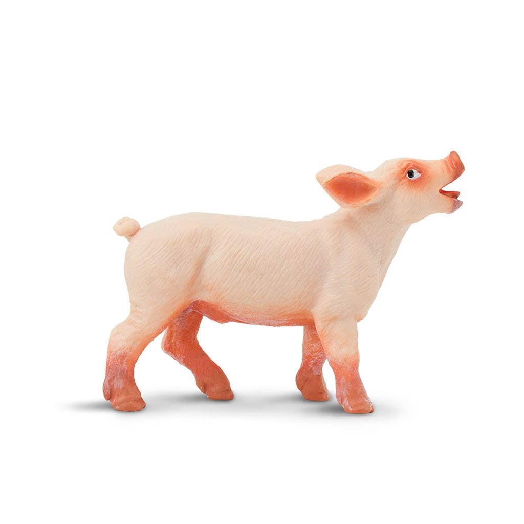Safari Ltd Piglet-SAF245729-Animal Kingdoms Toy Store