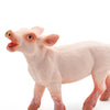 Safari Ltd Piglet-SAF245729-Animal Kingdoms Toy Store
