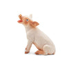 Safari Ltd Sitting Piglet-SAF245829-Animal Kingdoms Toy Store