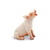 Safari Ltd Sitting Piglet-SAF245829-Animal Kingdoms Toy Store