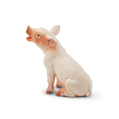 Safari Ltd Sitting Piglet-SAF245829-Animal Kingdoms Toy Store