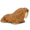 Safari Ltd Walrus-SAF248729-Animal Kingdoms Toy Store