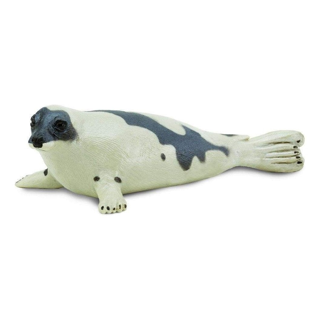 Safari Ltd Harp Seal – Animal Kingdoms Toy Store