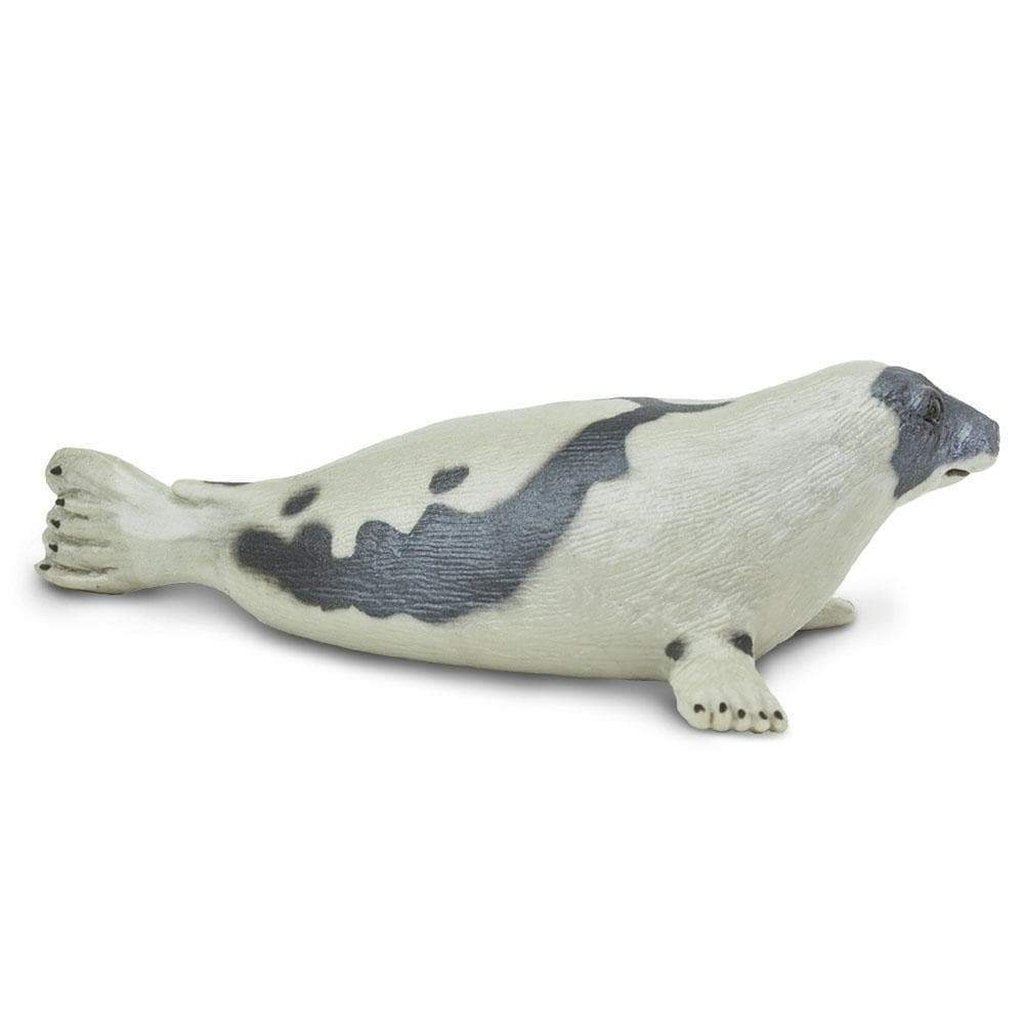Safari Ltd Harp Seal-SAF248829-Animal Kingdoms Toy Store