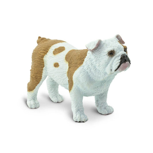 Safari Ltd Bulldog-SAF250729-Animal Kingdoms Toy Store