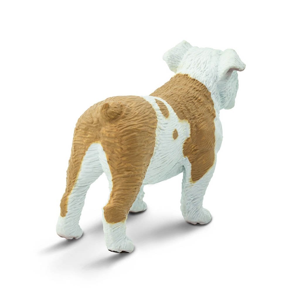 Safari Ltd Bulldog-SAF250729-Animal Kingdoms Toy Store