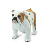 Safari Ltd Bulldog-SAF250729-Animal Kingdoms Toy Store