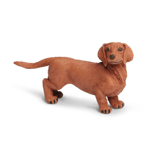 Safari Ltd Dachshund-SAF251529-Animal Kingdoms Toy Store