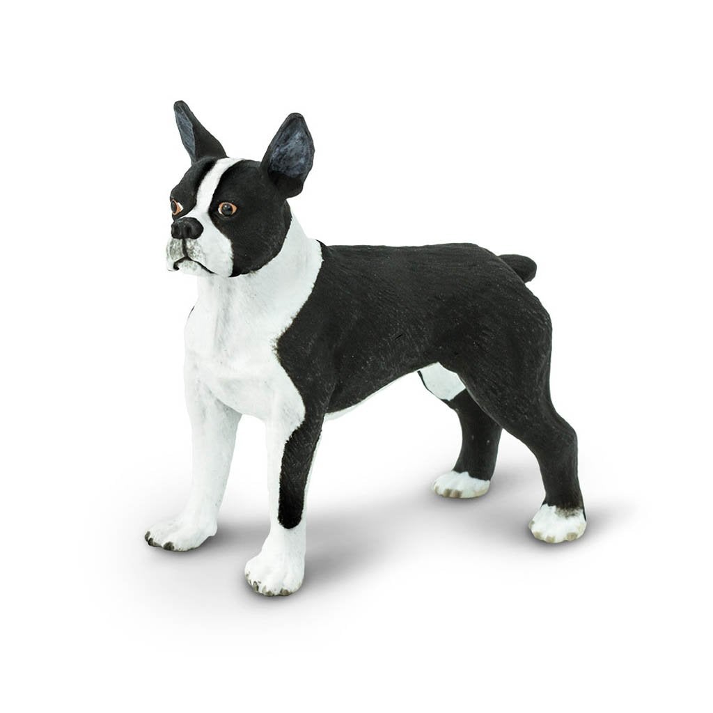 Safari Ltd Boston Terrier-SAF255029-Animal Kingdoms Toy Store