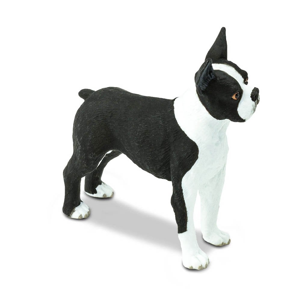 Safari Ltd Boston Terrier-SAF255029-Animal Kingdoms Toy Store
