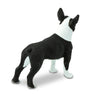 Safari Ltd Boston Terrier-SAF255029-Animal Kingdoms Toy Store