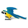 Safari Ltd Blue & Gold Macaw-SAF264029-Animal Kingdoms Toy Store
