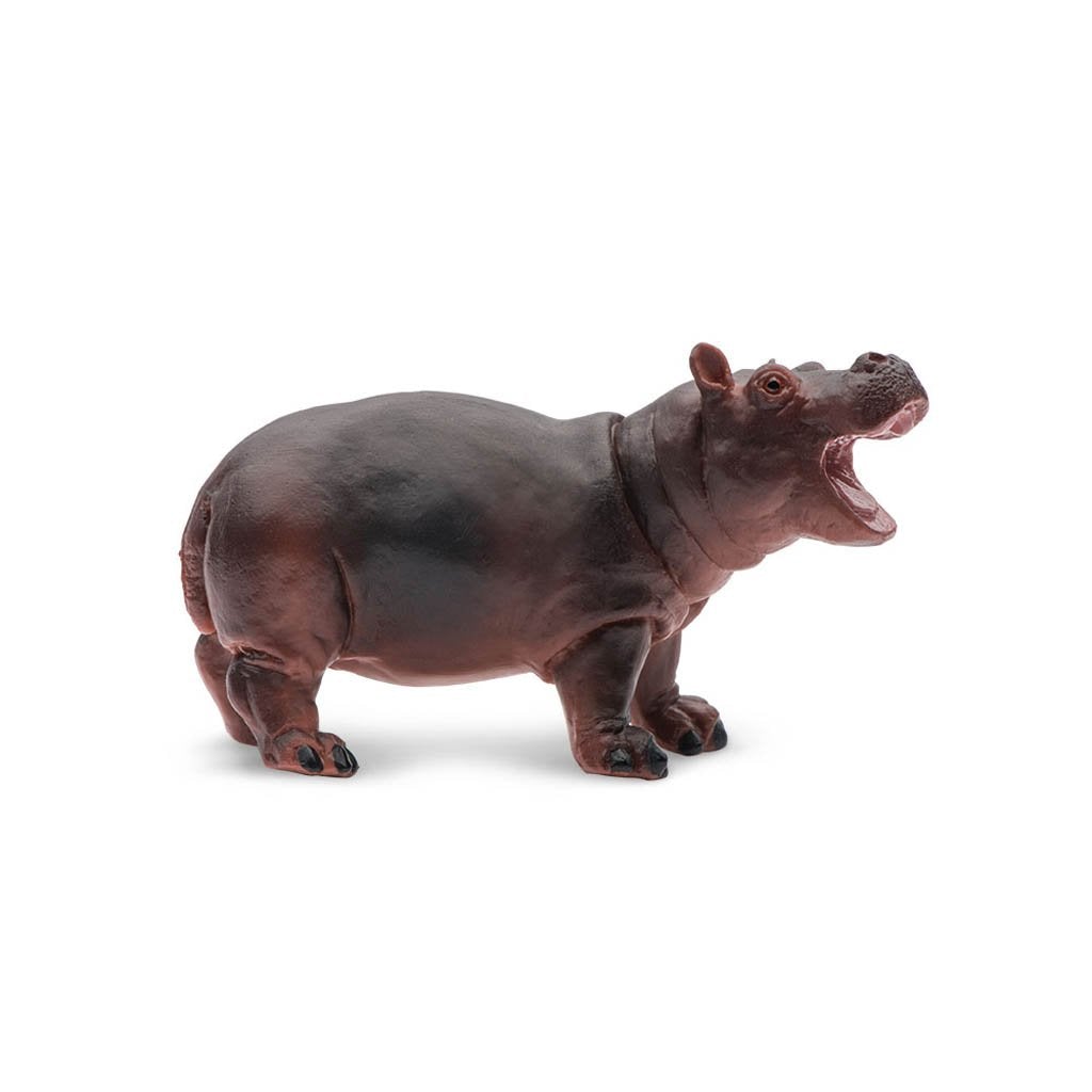 Safari Ltd Hippopotamus Baby-SAF270529-Animal Kingdoms Toy Store