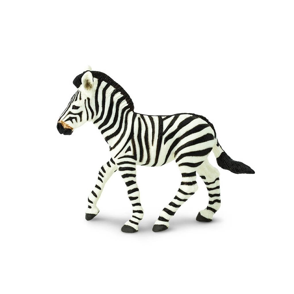 Safari Ltd Zebra Foal-SAF271829-Animal Kingdoms Toy Store