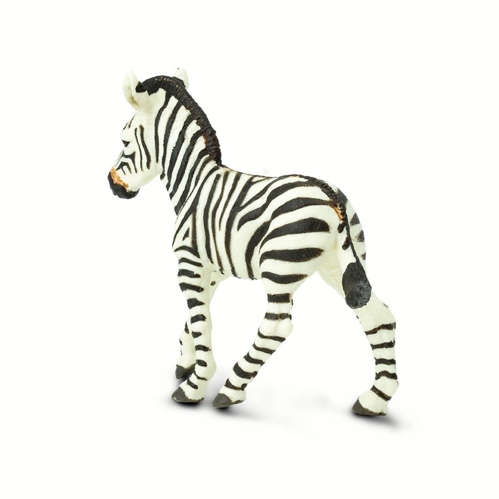 Safari Ltd Zebra Foal-SAF271829-Animal Kingdoms Toy Store