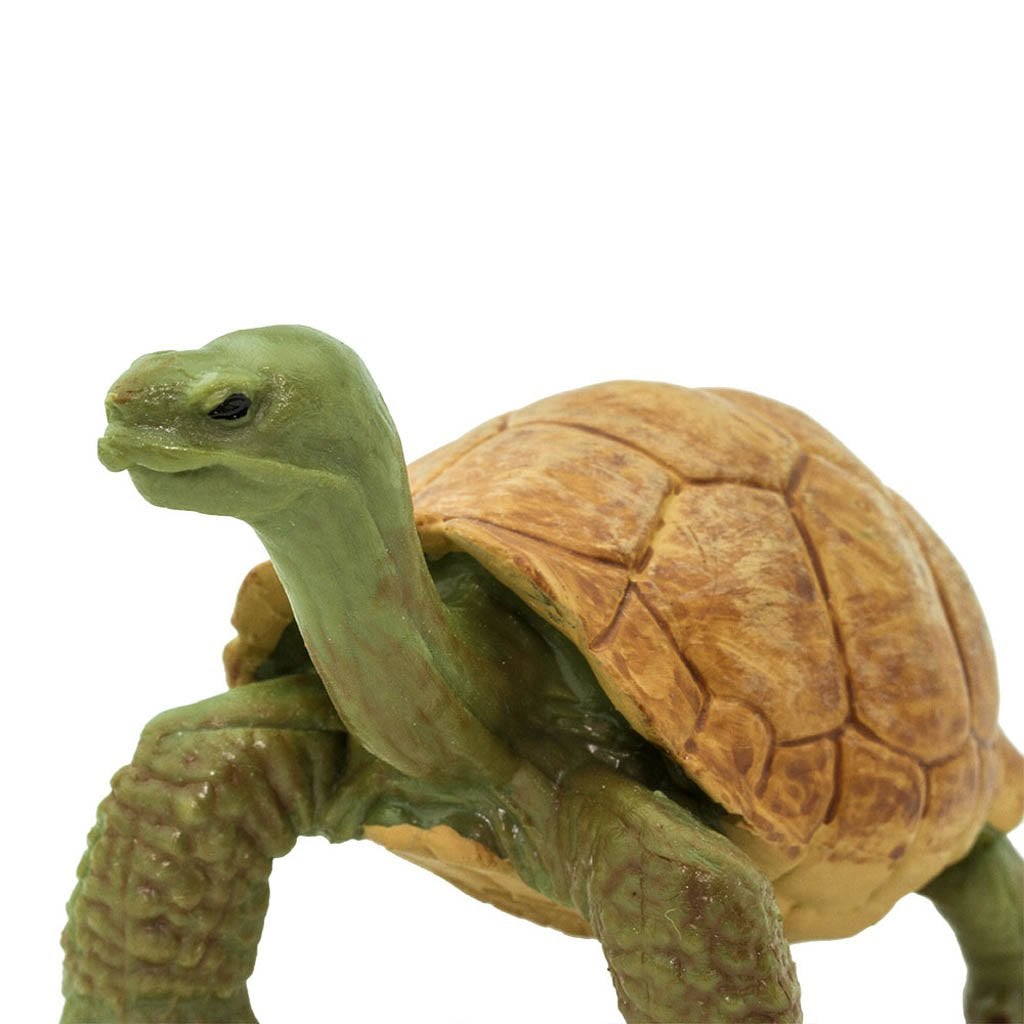 Safari Ltd Giant Tortoise-SAF272529-Animal Kingdoms Toy Store