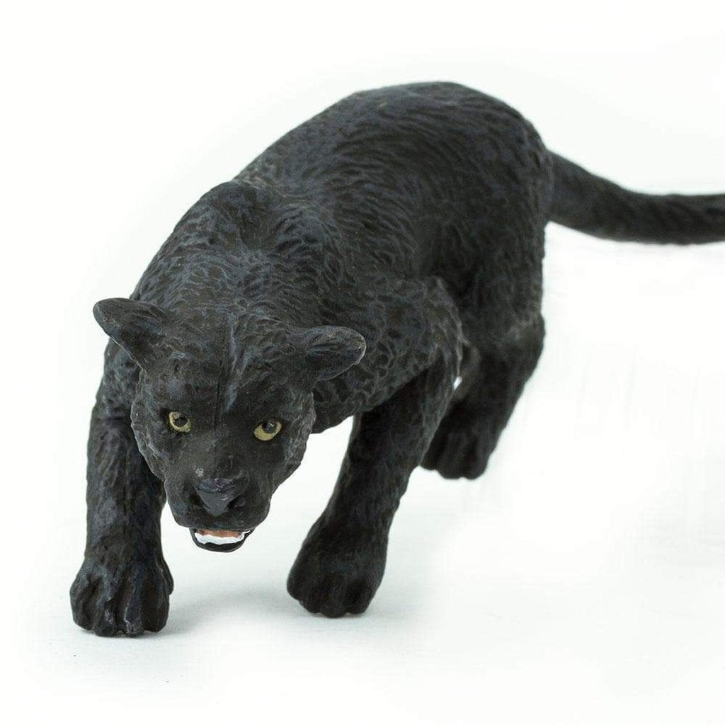 Safari Ltd Black Panther-SAF272829-Animal Kingdoms Toy Store