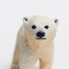 Safari Ltd Polar Bear Cub-SAF273429-Animal Kingdoms Toy Store