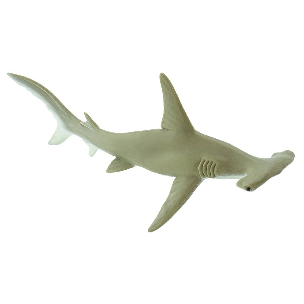 Safari Ltd Hammerhead Shark-SAF274829-Animal Kingdoms Toy Store