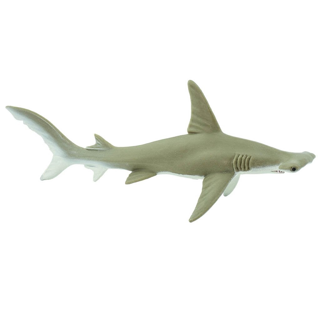 Safari Ltd Hammerhead Shark-SAF274829-Animal Kingdoms Toy Store