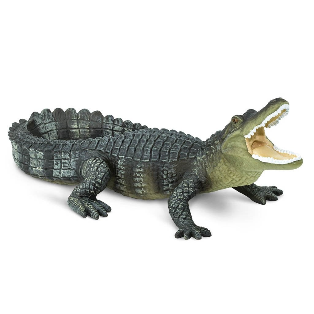 Safari Ltd Alligator-SAF276429-Animal Kingdoms Toy Store
