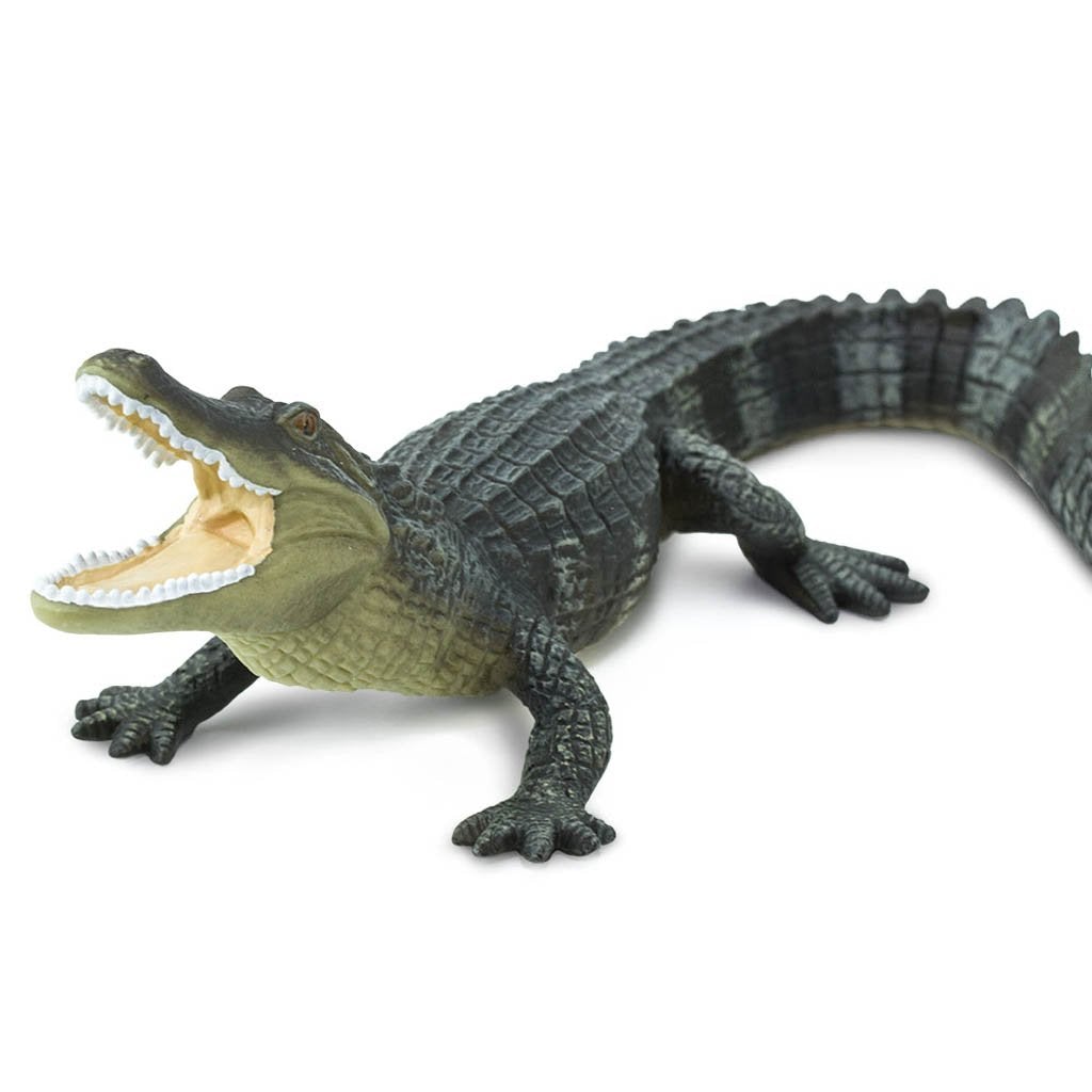 Safari Ltd Alligator-SAF276429-Animal Kingdoms Toy Store
