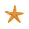 Safari Ltd Starfish-SAF276829-Animal Kingdoms Toy Store