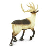 Safari Ltd Reindeer-SAF277929-Animal Kingdoms Toy Store