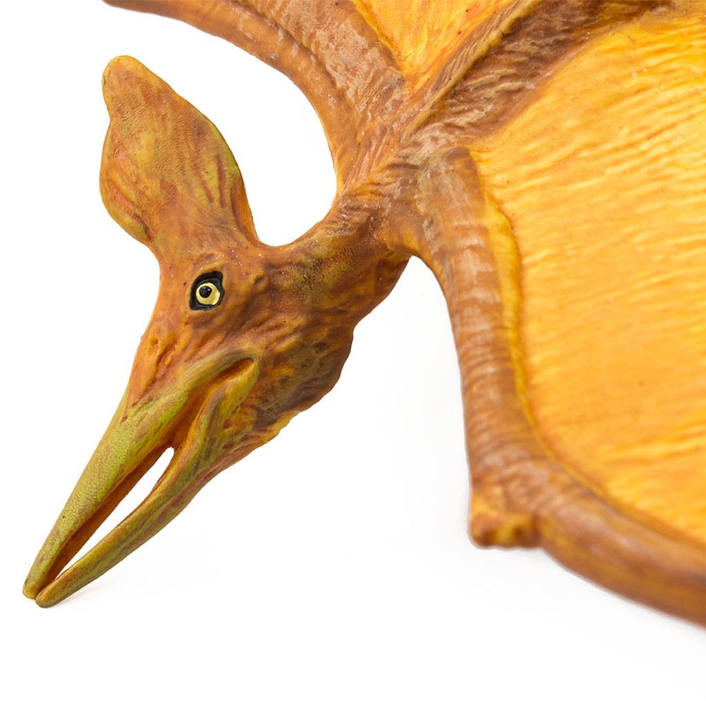 Safari Ltd Pteranodon-SAF279229-Animal Kingdoms Toy Store