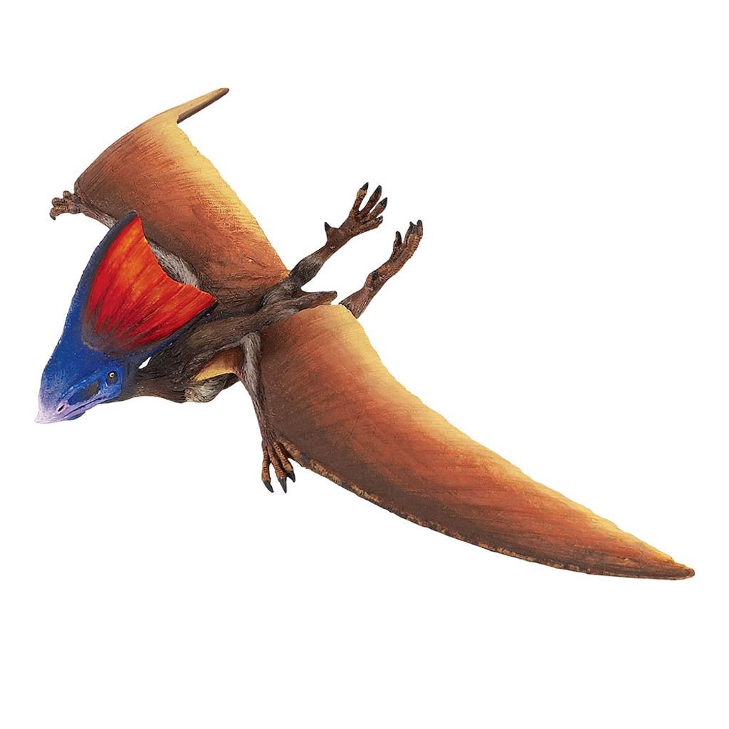Safari Ltd Tapejara-SAF284229-Animal Kingdoms Toy Store