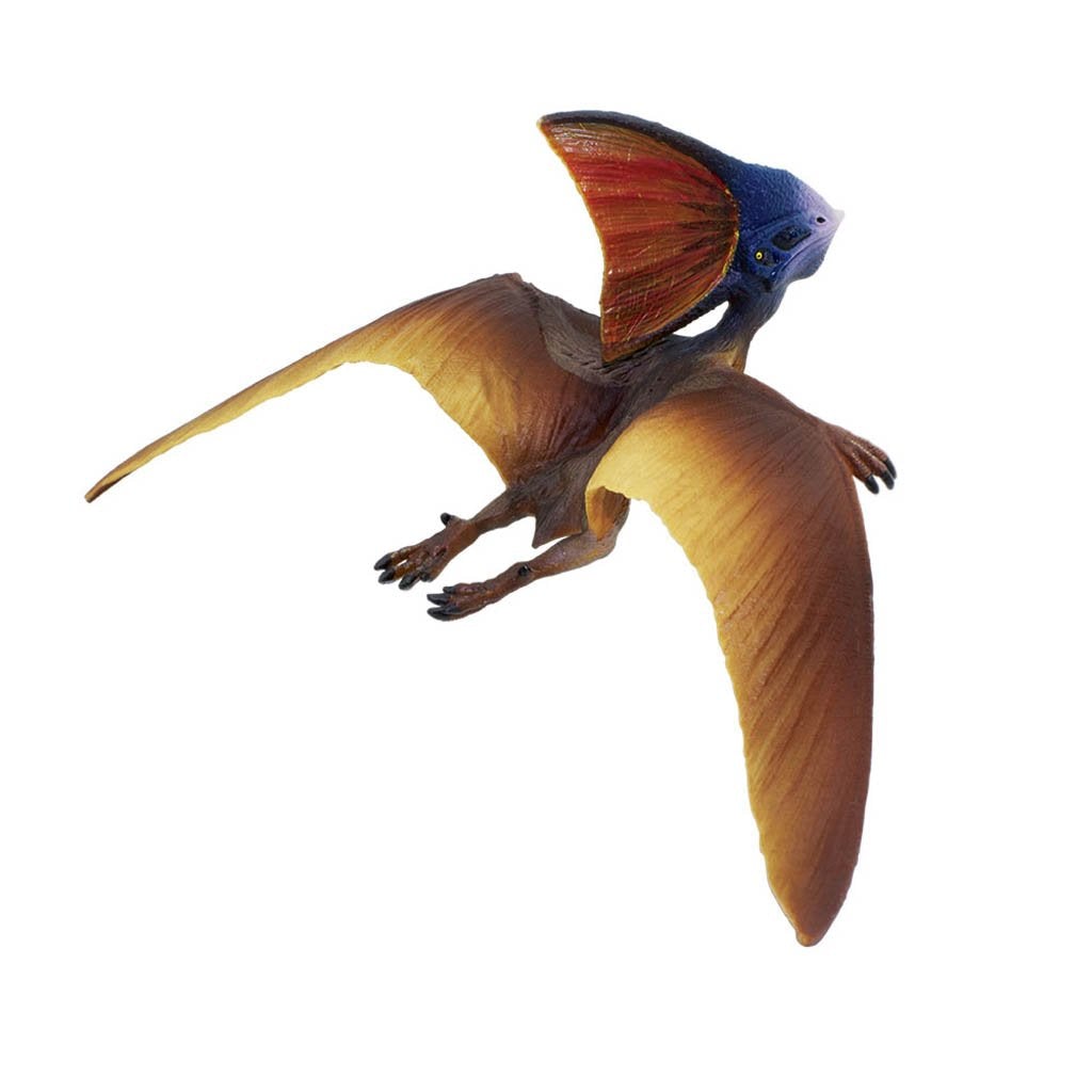 Safari Ltd Tapejara-SAF284229-Animal Kingdoms Toy Store