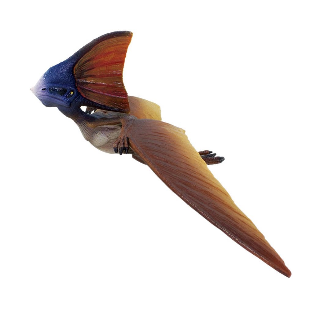 Safari Ltd Tapejara-SAF284229-Animal Kingdoms Toy Store