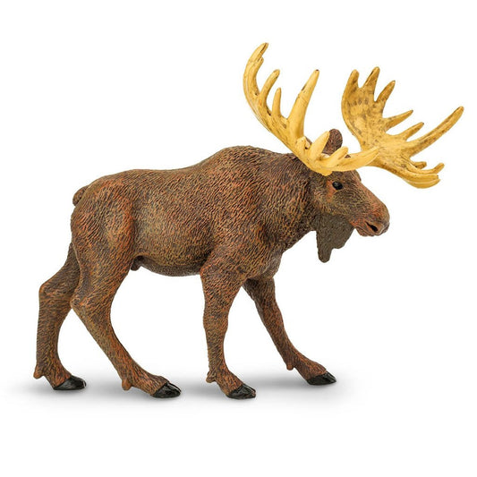 Safari Ltd Moose-SAF290029-Animal Kingdoms Toy Store