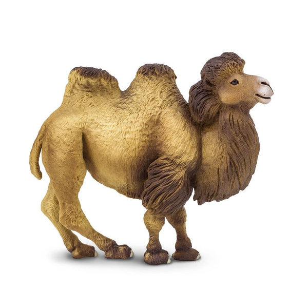 Safari Ltd Bactrian Camel-SAF290929-Animal Kingdoms Toy Store