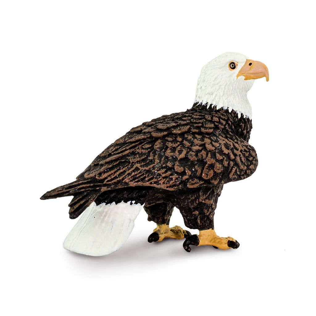 Safari Ltd Bald Eagle-SAF291129-Animal Kingdoms Toy Store