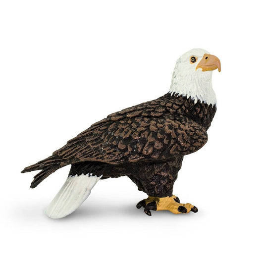 Safari Ltd Bald Eagle-SAF291129-Animal Kingdoms Toy Store