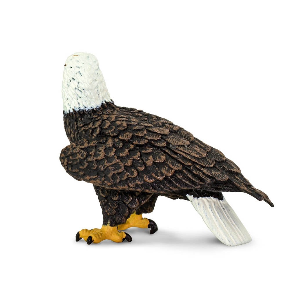 Safari Ltd Bald Eagle-SAF291129-Animal Kingdoms Toy Store